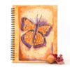 Mariposa Abierta